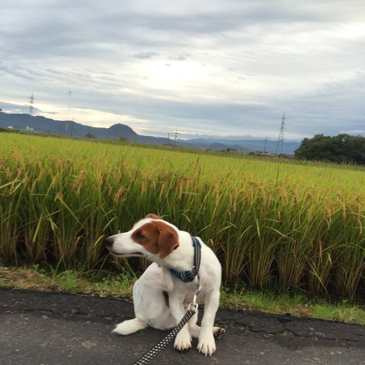 74f96c5b acf6 450a a03e 5111ad1f377b