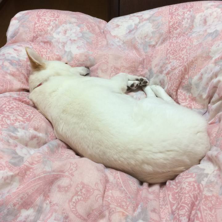 74f96d8e 31a0 4202 bc52 d7341639fa23