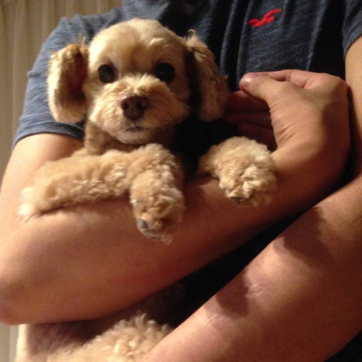 74f980b1 e30f 4c7a 8de2 eb05317b0928