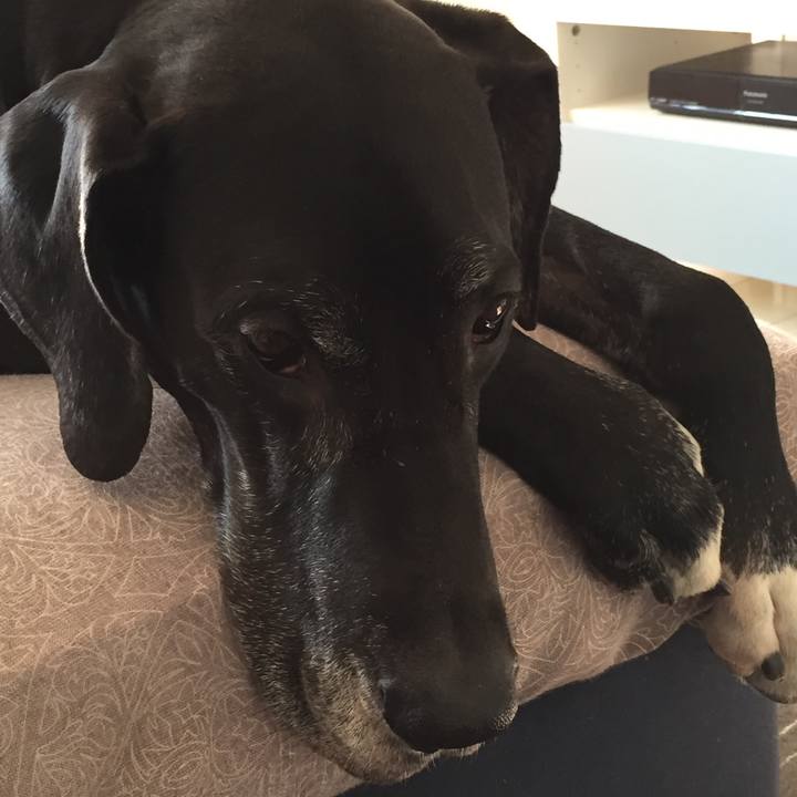 74f9d7f6 d74e 4659 a615 5496eff90603