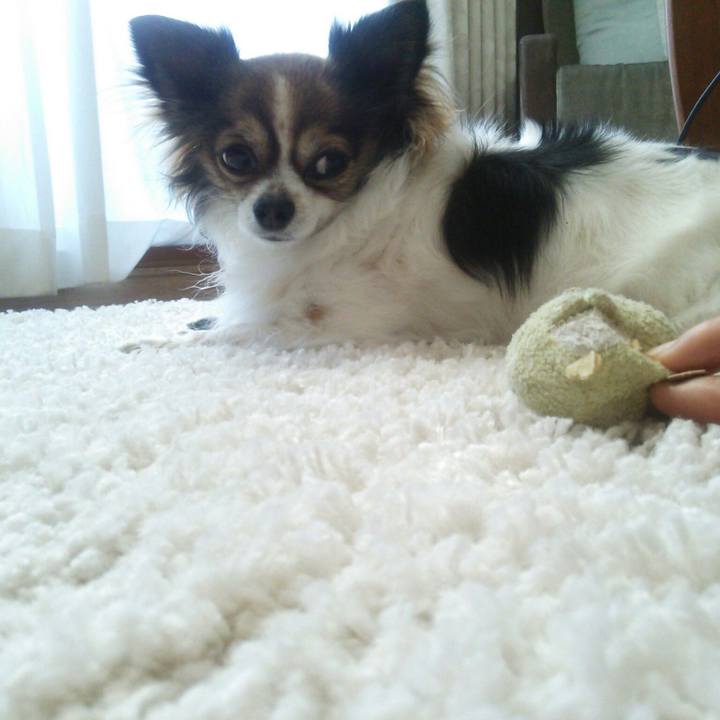 74fa661d 2ed6 4c23 8139 99c45e68e835