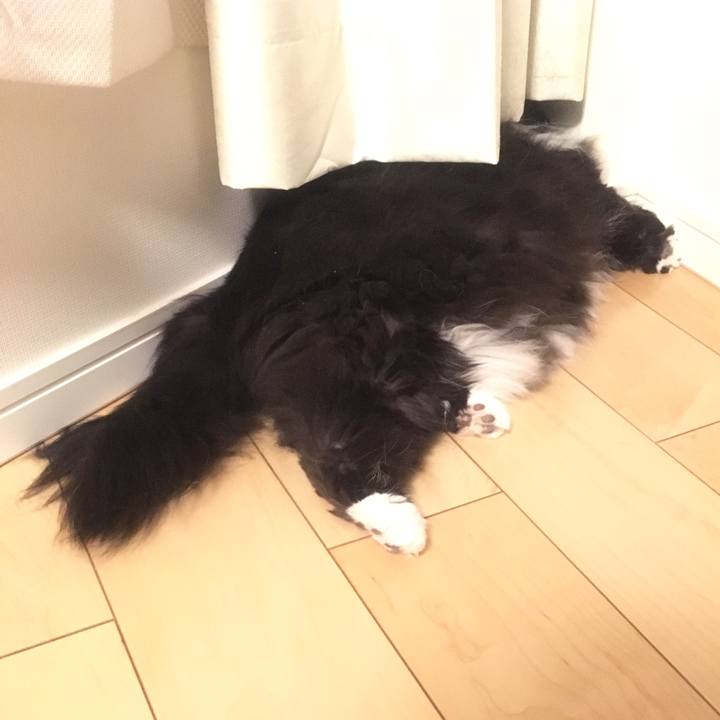 74fb165a 24da 4cb1 a114 1689b14c0f36