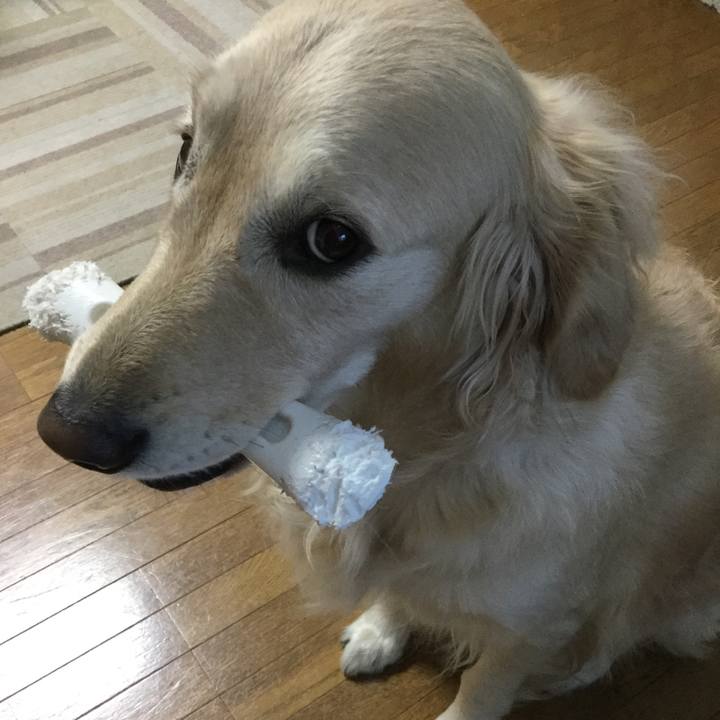 74fb9ab0 5f9b 48ab be58 b8750ce87245