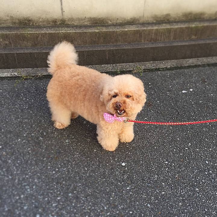 74fbad96 55e6 4f02 8d2e 3c75b57cdeac