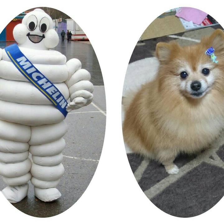 74fbd26d 56eb 4165 98e6 d10a4dc65af6