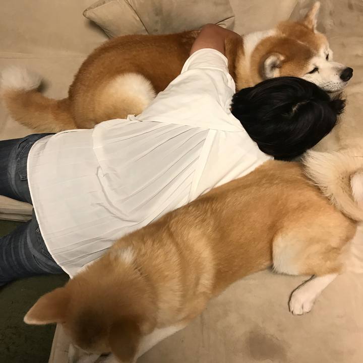 74fca0de fa3b 4b93 866d e923231dbd0d