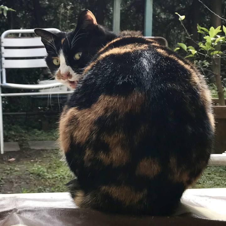 74fcf422 072c 4ed6 a71c cd43262a739e