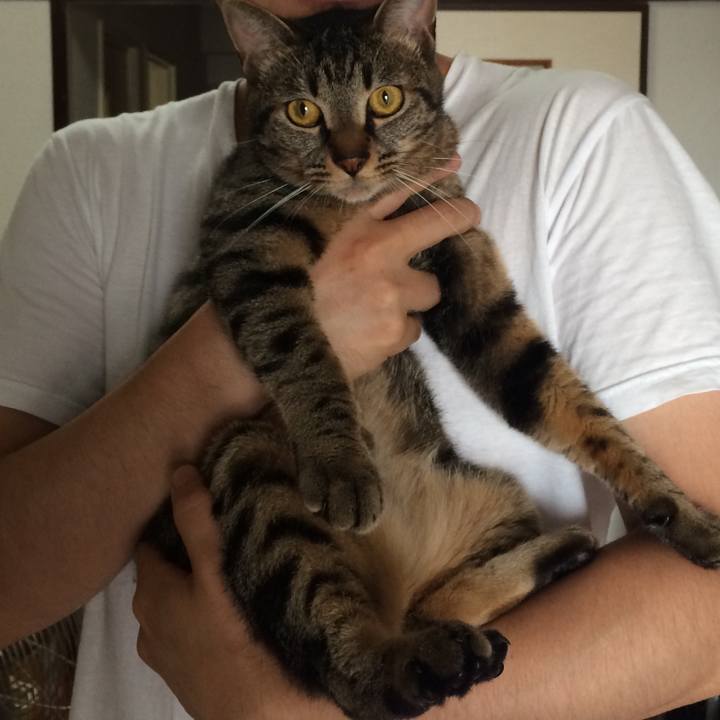 74fcfbeb db27 4164 a37e 1f8ad18b00cc