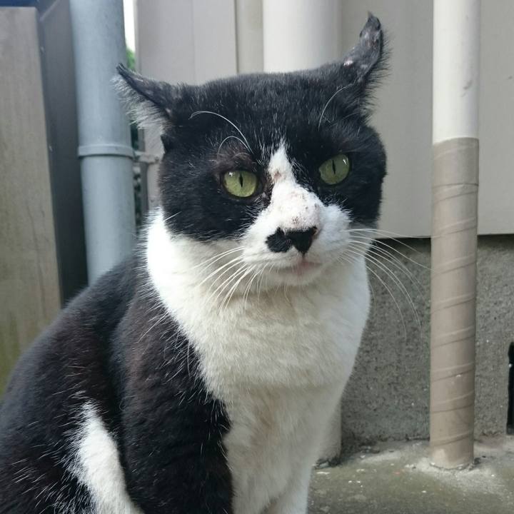 74fd806f 5d4a 43e2 a8dd 30ff18073269