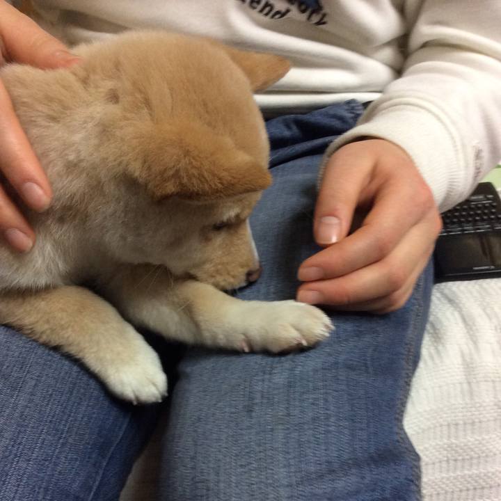 74fe0a94 0a31 4036 a4dc e7419e04910b