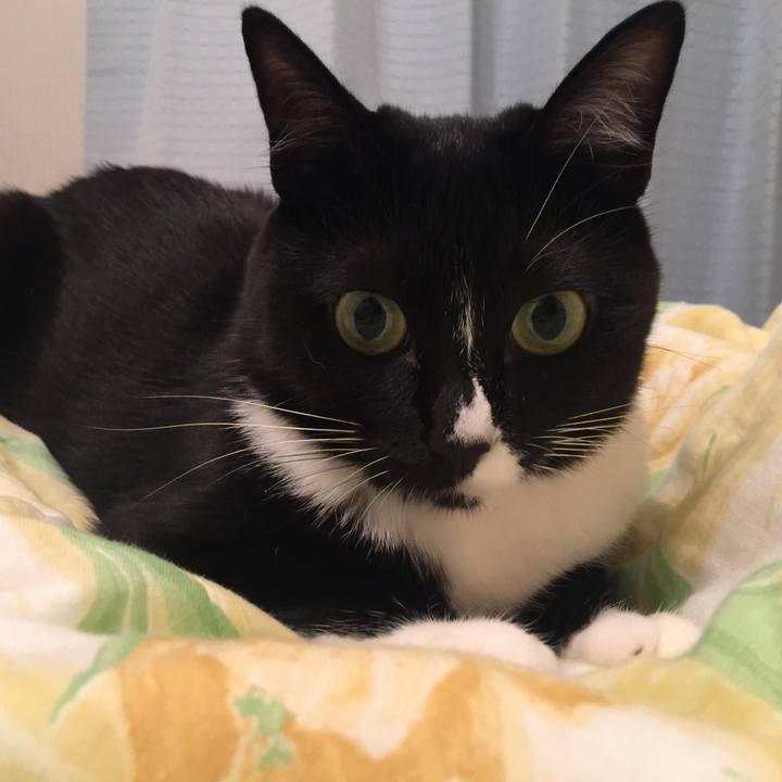 74fef574 7cb4 42bb 82eb aa52a1b57f09