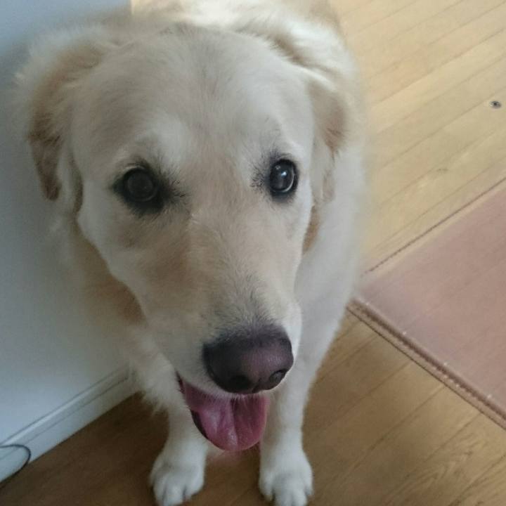 7500a41a 2af0 4318 b24c c71d16ea9a89