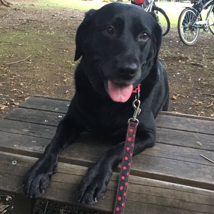 7500f856 fdb5 4fd5 9c23 13db3b9d9de6