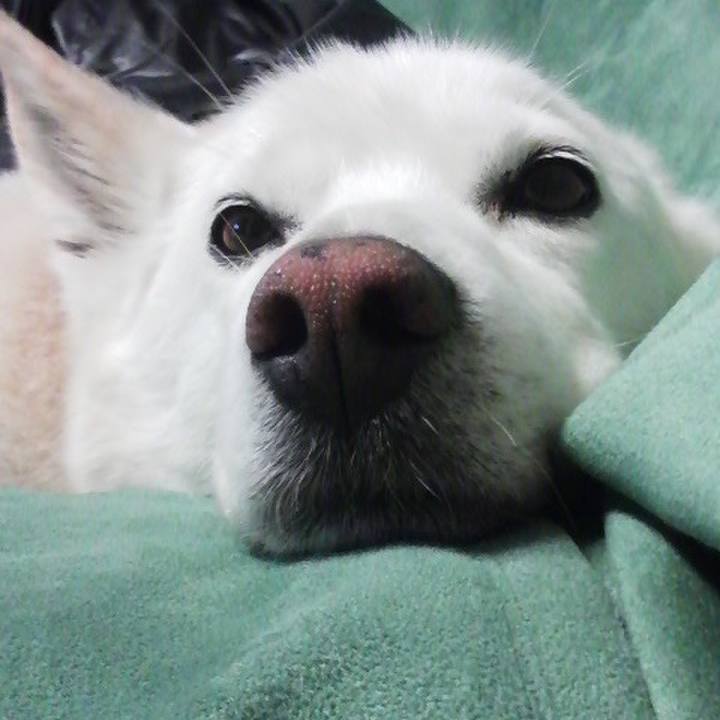 7501153d 2450 4be2 914e 2818998aead5