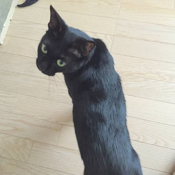 750168d7 9626 4061 970b f63945d672b5