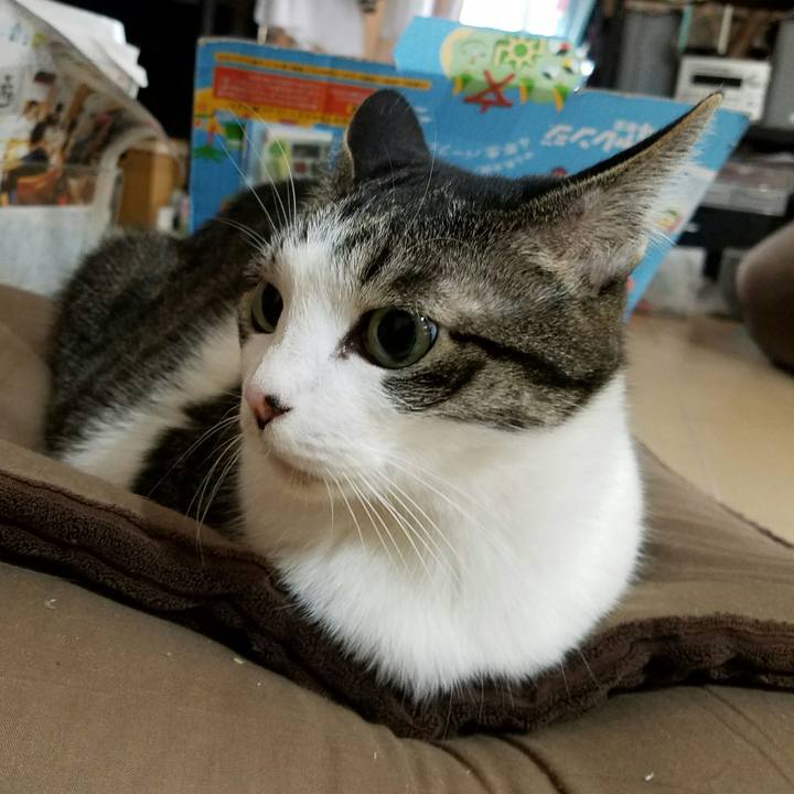 75016bb9 5a69 4670 af38 25c7c3a421ff