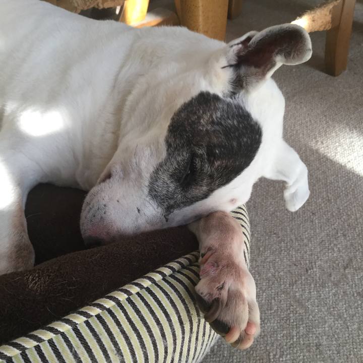 7501d76f 79a7 44ba 9bdc 540a9d53733c