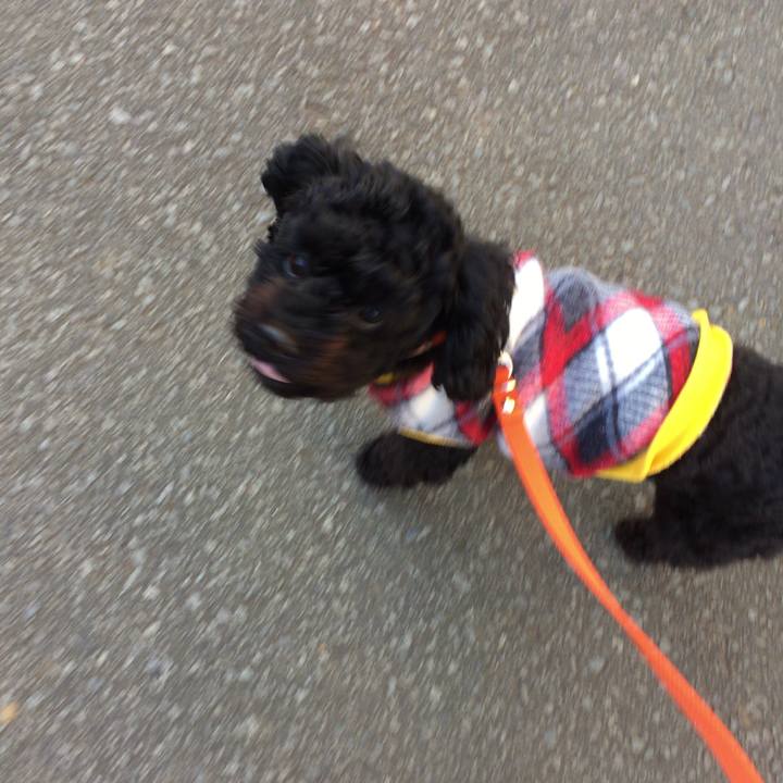 75022d8e 4b53 4c11 ac87 a5508a7b4945