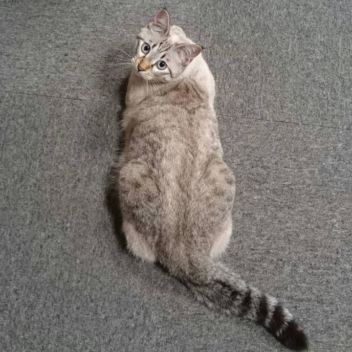 75026157 b219 430d aeb8 74555112fd82