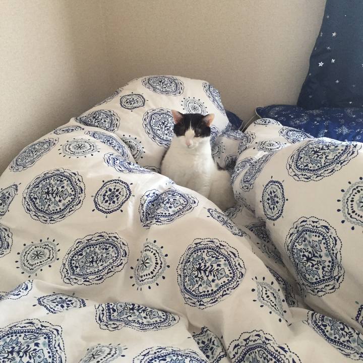 75026750 0dfc 4ed0 8908 e1cb170bc13d