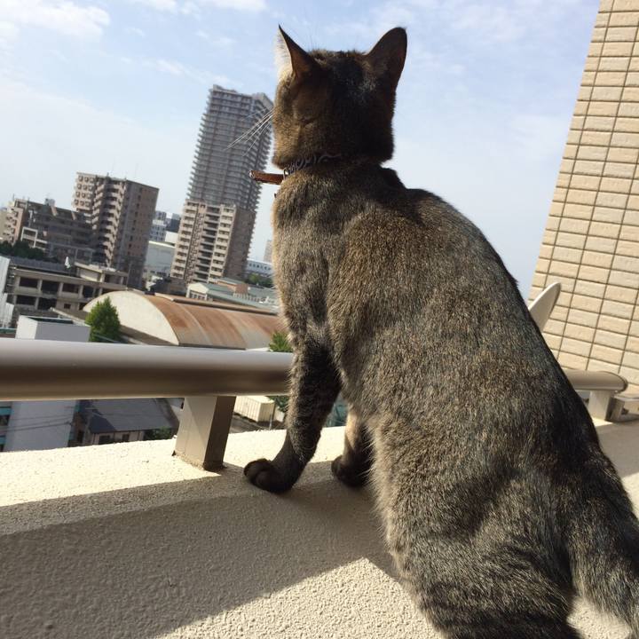 7502bc65 7ec1 49de a505 ff629441cab7