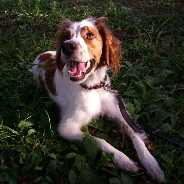 7503539b 53af 4cf9 accd b4d11481c78a