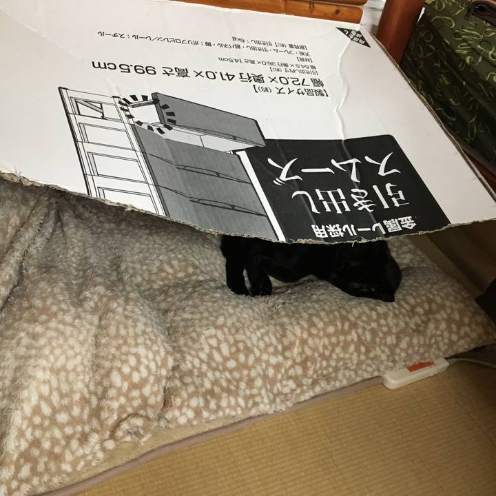 75037a6c d3fa 454b a36f fa5acfca3f6c