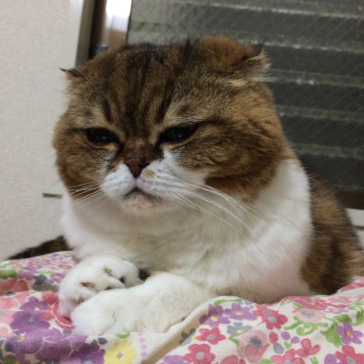 7503bc1f 90b2 4c35 9a3f 538990546f29