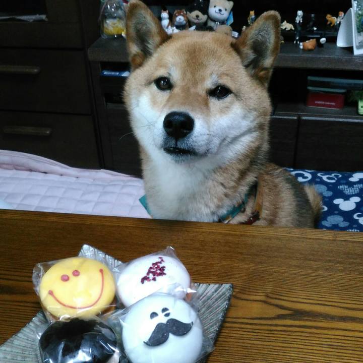 7503c1d5 5e18 4ef8 b3a9 00e4f0e59aa9