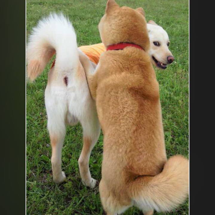 75054481 75b8 41a3 b683 97938380b388