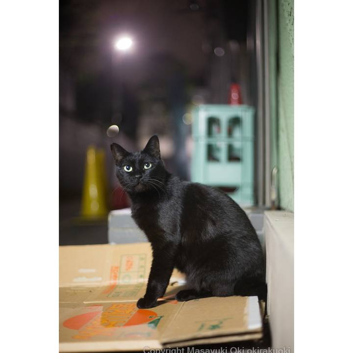 7505c853 193b 4ecd aade e7e5f0e8b36b