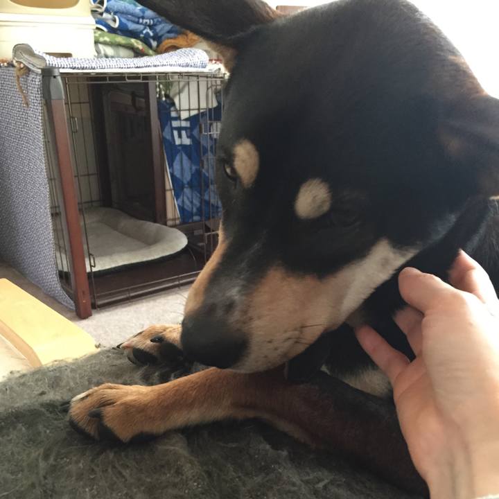 7506116b a282 47cb 9862 e03ffd399e78