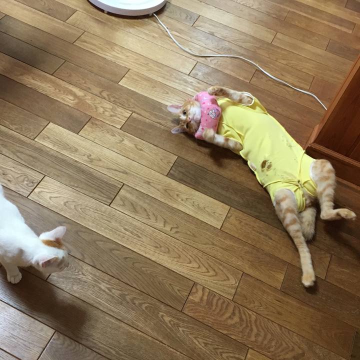 75072eeb c628 4af6 8e39 8c6087527e91