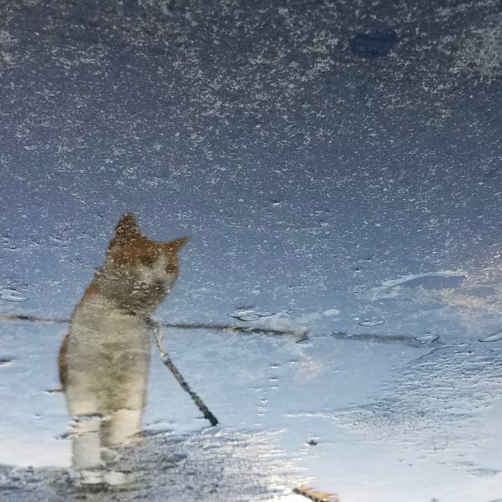 7507826e e91d 457c b06d 66d17c53bd2a