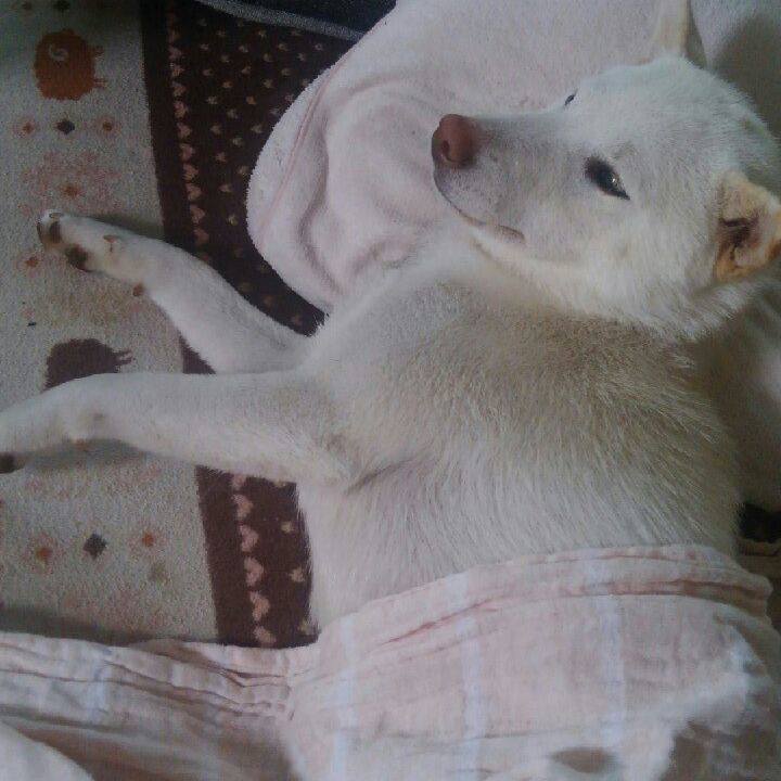 7507ea20 0138 42c7 98b6 7ca2f39ebd30