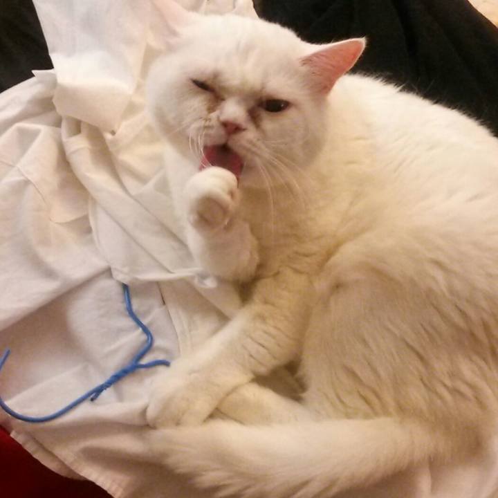 75086821 f369 4566 85f2 f9d938bb9d1e