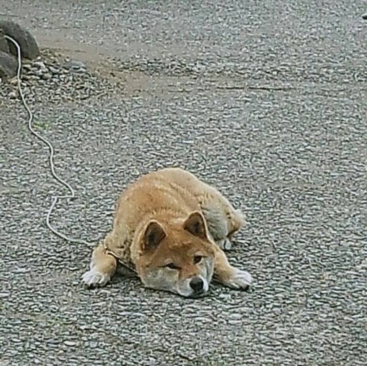 750891b3 af69 4273 a466 761740a5c5d6