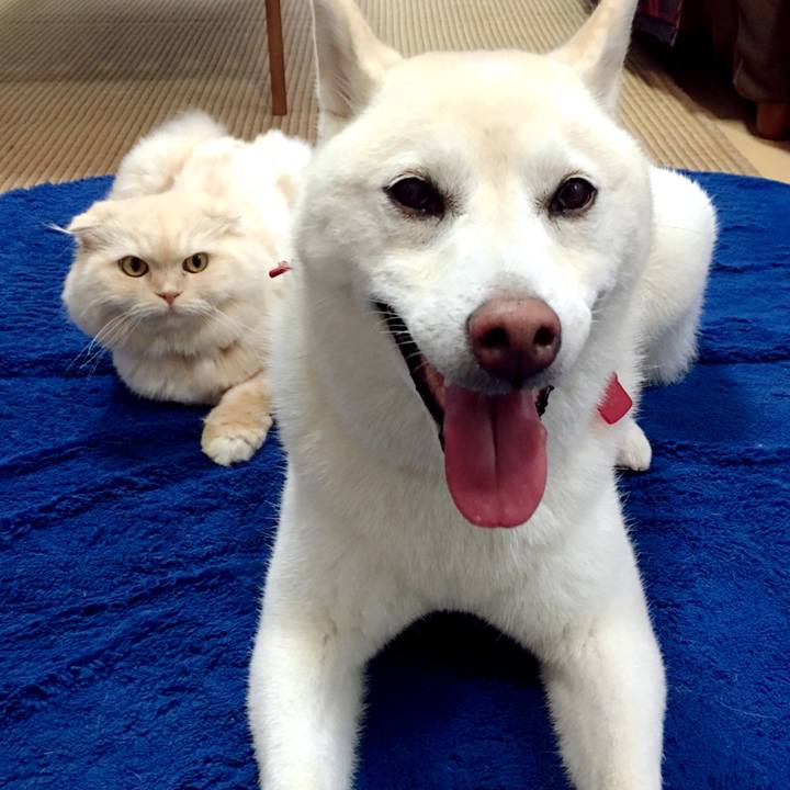 75090a5e 5a26 4bd4 ad7d 6414b2937a07