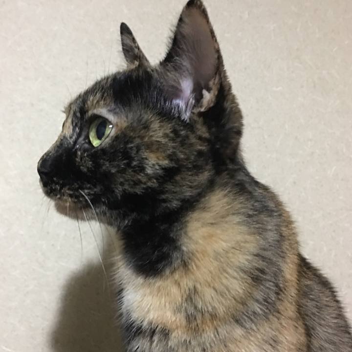 7509f31b 2921 4ecd 9aa6 ca47d97715c7