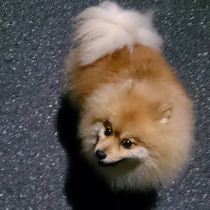 750aa26d 9900 4efe 966c 76f6124c6fc4