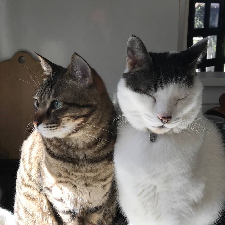 750b2ab0 f87c 4a90 bf79 e1e6a86e6905