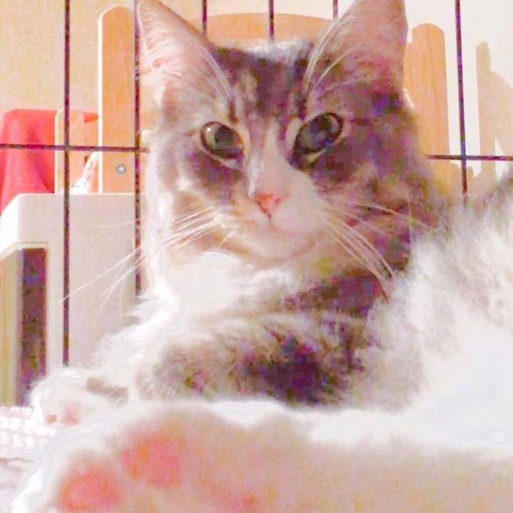 750bd0cf 1033 4b04 a310 08d4108142b4