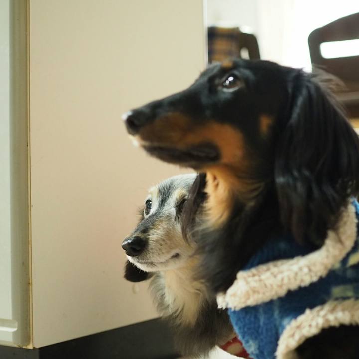 750c1a65 f72c 44d1 b303 2d7ff76faf11