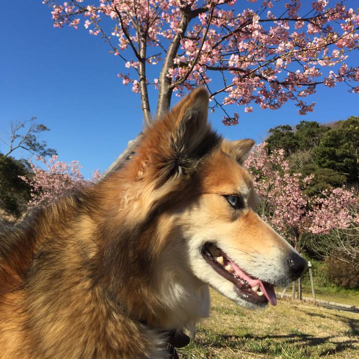 750c758d 76bd 4367 b694 0bb0e46353e7