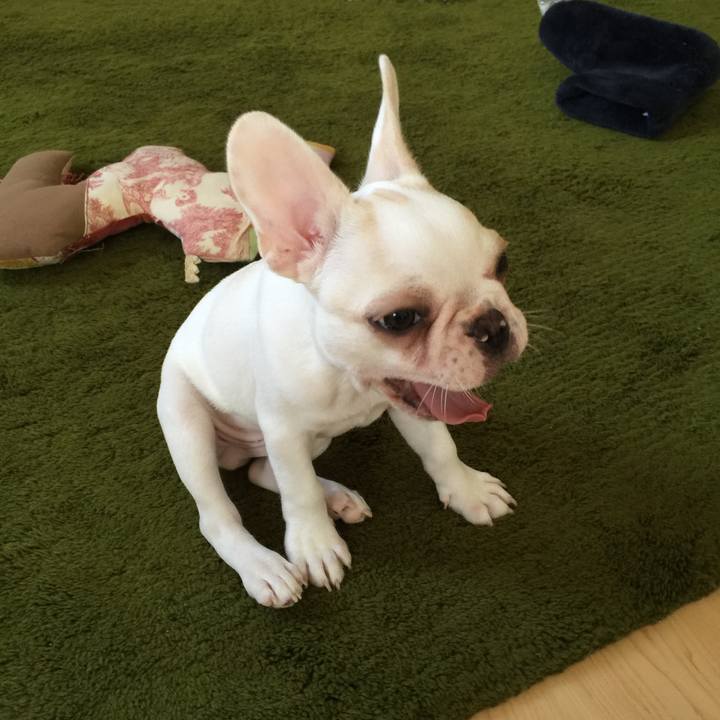 750c7ee1 b051 4b5a bbd3 f6959fd691f5