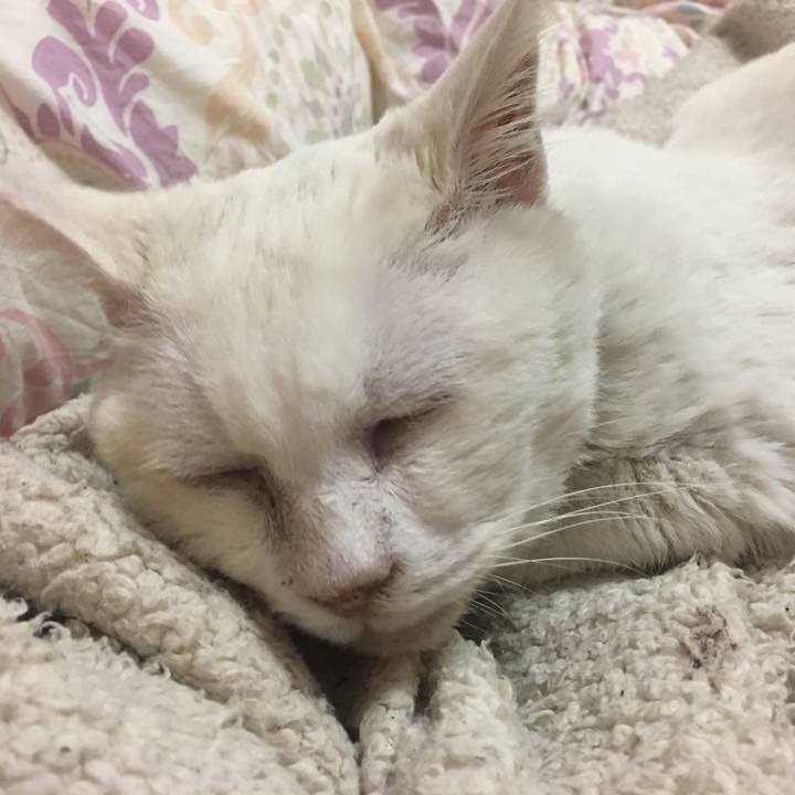 750cd303 a765 48b3 b7ce a0173bae71e4