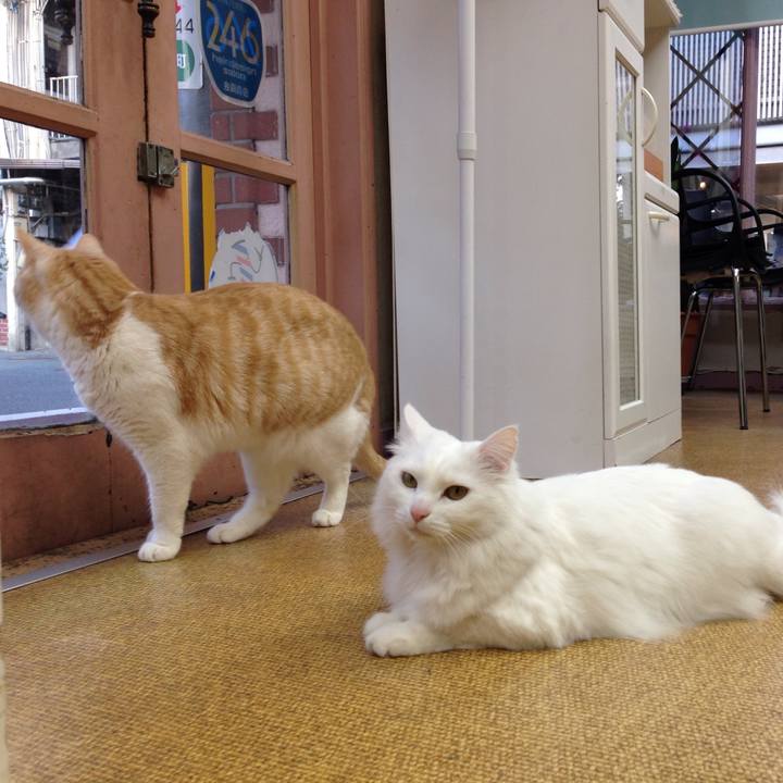 750d209c 720c 4e9c 9694 20ddbce315d4