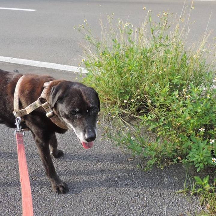 750e26cb b7e3 489c b9e9 7f3b5751a9b8