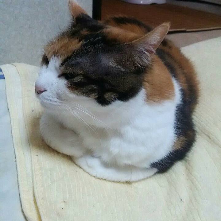 750eb9e5 f992 432b b13c fc2f8b63516a