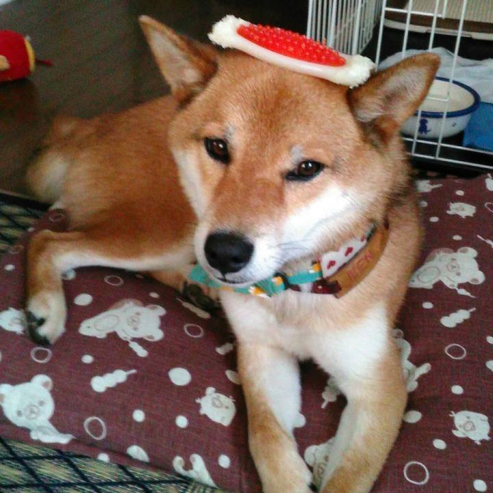 750ebaa1 8ef1 4d27 a207 8107dd1c9cdd